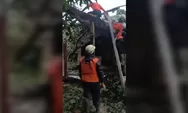 Pohon Tumbang dan Belasan Rumah Rusak Akibat Hujan Angin Puting Beliung di Jatigede Sumedang