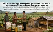 Pemkab Sumedang dan Kantor Bea Cukai Bandung akan Musnahkan Jutaan Batang Rokok Ilegal