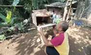Simbiosis Mutualisme, Peternak Ini Budidaya Lebah Madu dan Ayam Kampung
