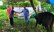 PT Pacific Multi Finance Salurkan Hewan Kurban di DKM Masjid Jami Al Hikmah Tanjungkerta