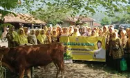 Galih Dimuntur Kartasasmita Bagikan 15 Ekor Sapi Kurban untuk Warga Sumedang, Majalengka, dan Subang