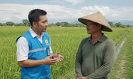 Dukung Swasembada Pangan, PLN Survei Infrastruktur Listrik untuk Program Pompa Air Pertanian di Sumedang