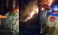 Kebakaran Lahan di Gunung Palasari Sumedang Hanguskan 800 m², Api Berhasil Dipadamkan Petugas Gabungan