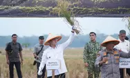 Panen Raya Bersama TNI di Ujungjaya, Bukti Komitmen Sumedang Dukung Ketahanan Pangan Nasional