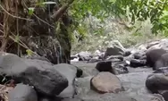 Merasa Resah, Pemancing Asal Sumedang Temukan Dugaan Penyetruman dan Peracunan Ikan di Sejumlah Sungai
