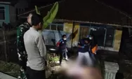 Bayi Ditemukan Tanpa Lengan dan Kaki Kiri, Diseret Anjing ke Halaman Rumah Kosong, Polisi Selidiki Kejadian