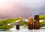 Hidung Mampet, Bolehkah Hirup Minyak Kayu Putih Atau Inhaler Saat Sedang Puasa Ramadan?