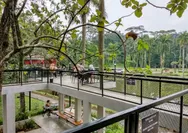 Indah Banget Tempat Bukber di Sentul Bogor, 4 Cafe Memikat dengan Pemandangan Alam Menawan