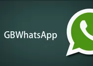 Cara Mengatur Peringkat Spam di GB WhatsApp Viryangopi