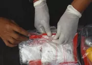 Bea Cukai-Polri Berhasil Gagalkan Penyelundupan Narkoba dari Belgia dan Belanda