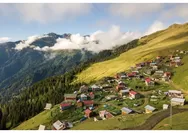 Teh dan Hijauannya: Pengalaman Unik Wisata Berorientasi Teh di Rize