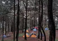 Camping Murah di Bogor! Pasir Luhur, Pengalaman Unik di Tengah Hutan Pinus Gunung Salak