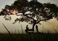 Pohon Pengantin Salatiga: Pesona dan Misteri di Balik Keindahannya yang Memukau Mata Memandang