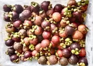 Buah-buahan Tropis Indonesia Diminati di Mancanegara, Perancis Jadi Destinasi Ekspor