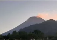 Waspadai Ancaman Letusan Gunung Merapi, meski Jumlah Gempa Mengalami Penurunan