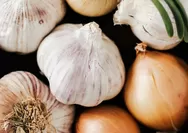 6 Manfaat Mengonsumsi Bawang Putih bagi Kesehatan Tubuh dan Efek Sampingnya, di Antaranya Tingkatkan Kekebalan Tubuh