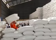 Badan Pangan Nasional Bakal Salurkan 30 Kilogram Beras Kepada 33 Juta Keluarga