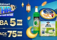 Tips Belanja Online Ramadhan yang Murah dan Cepat