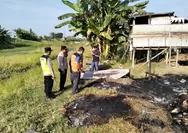 Kebakaran Kandang Ternak di Kudus, 23 Ekor Kambing Hangus Terpanggang