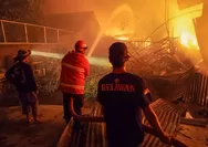 Karhutla di Kudus Melonjak, BPBD Catat 111 Titik Lahan Kebakaran di Kudus