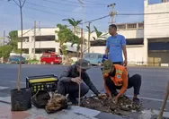 Meski Tuai Sorotan, Bupati Kudus Tetap Lanjutkan Penanaman Pohon Peneduh Jalan