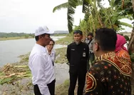 Kementan Kucurkan Bantuan Rp175 Miliar untuk Petani Terdampak Banjir Jawa Tengah