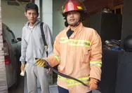 Ngeri! Ular Kobra Jawa Masuk Rumah Warga, Tim Rescue Pemadam Kebakaran dan Penyelamatan Cilacap Bantu Evakuasi