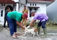 Suntik 702 HPR, Dispangtan Padang Panjang Tuntaskan Vaksinasi Rabies Gratis di Seluruh Kelurahan