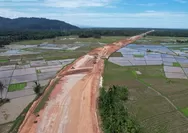 PT Hutama Karya 'Skak Mat' Sumatera Barat Soal Pembebasan Dua Titik Lahan Proyek Tol Padang Sicincin Belum Kelar-kelar Sampai Sekarang