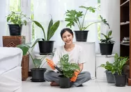 7 Rekomendasi Tanaman Hias Indoor Yang Mudah Dirawat, Bikin Rumah Makin Segar dan Estetik