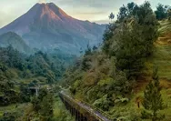 Menelisik Pesona Plunyon Kalikuning Jogja, Jembatan Ikonik di Kaki Merapi yang Bukan Peninggalan Belanda