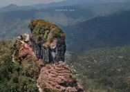 Menyingkap Misteri Wajah Perbukitan Menoreh: Pesona Puncak Widosari, Jejak Gunungapi Purba di Kulon Progo