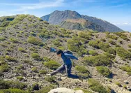 Panduan Lengkap 4 Jalur Resmi Pendakian Gunung Welirang: Pintu Masuk Menuju Puncak Belerang Jawa Timur