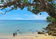 Cekungan Syahdu di Pantai Pangi, Sudut Ikonik di Blitar untuk Healing Sejenak