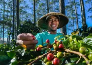 Peran Aktif BRI Dukung Ketahanan Pangan, Salurkan Kredit Senilai Rp199,83 Triliun di Sektor Pertanian