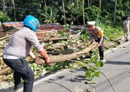 Satlantas Polres Padangsidimpuan Sigap Tangani Pohon Tumbang Picu Kemacetan