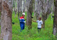 Keren! PGN Raih 4 Emas dan 5 Hijau PROPER 2025, Ini Rahasia di Baliknya