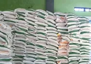 Bansos Beras 10 Kg Diperpanjang 3 Bulan, Cek Nama Kamu Masuk 33,2 Juta Penerima?