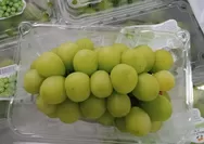 Anggur Muscat Hijau Mengandung Racun?, BPOM RI Akan Segera Turun Tangah!