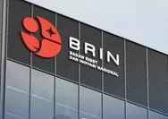 Data BRIN Bocor: Jumlah Petani RI Terjun Bebas, Tenaga Kerja Beralih ke Sektor Jasa!