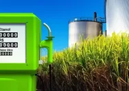 Jadi Pilihan Pemerintah Sebagai BBM Pengganti Pertalite, Ini Manfaat Serta Proses Pembuatan Bioetanol