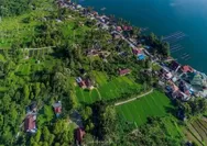 Suasana Pedesaan Di Pinggiran Objek Wisata Danau Maninjau: Keindahan Alam Sumatera Barat