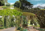 Memotret Keindahan Alam: Spot Foto Wisata di Kebun Raya Bogor yang  Indah Dan Memukau