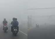 Kabut Asap Karhutla Selimuti Banjarbaru, Warga Keluhkan Jarak Pandang hingga Khawatir Gangguan Kesehatan