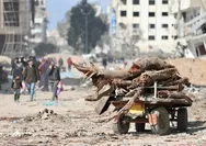 Invasi Israel ke Rafah Tetap Berlangsung Meski Ada Kecaman Internasional, 150 Ribu Warga Palestina Tinggalkan Kota