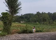 Pesan Penting untuk Anakku....