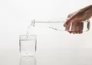 Keunggulan Air Putih Dibandingkan dengan Jenis Minuman Lain, Lengkap dengan Penjelasannya