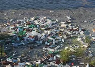 5 Dampak Besar Bagi Manusia dari Lingkungan yang Rusak Karena Sampah Plastik, Lengkap dengan Solusinya