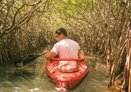 Jelaskan Dampak Alih Fungsi Hutan Mangrove Bagi Lingkungan Hidup Serta Manusia dalam Jangka Panjang