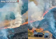 Atasi Kebakaran Gunung Bromo Tim SAR Terkendala Medan, Titik Api Sulit Dijangkau